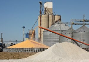 Loading corn for storage at a grain elevator